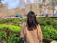 -西苑公园