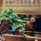 温州！！藏在巷子里的氛围感小店！！