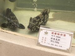 -苏州吴中白金汉爵大酒店