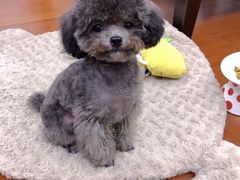 -爱侣宠医·鹦鹉专科·小型哺乳类·异宠专科(灵石路店)