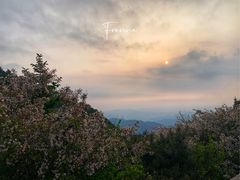 -泰山风景名胜区