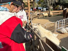 -HERRE·FARM 赫尔露营农场·团建聚会包场