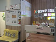 -瑞鹏宠物医院·内科·中兽医·骨科(苗圃店)