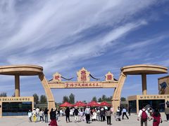 -金塔沙漠胡杨林景区