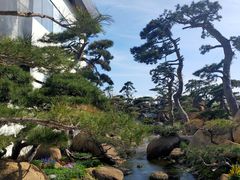 -罗红摄影艺术馆