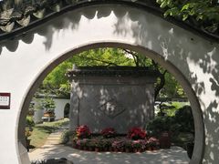 -上海醉白池公园