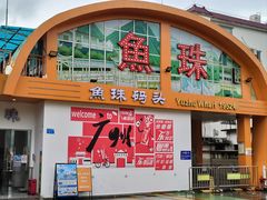 -长洲岛