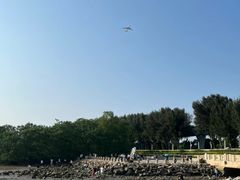 -宝安西湾红树林湿地公园