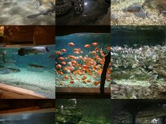 -绍兴梦享海洋公园