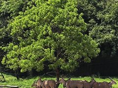 -杭州野生动物世界