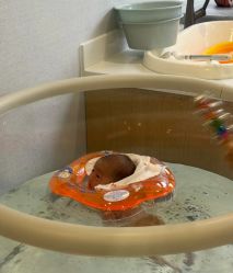 -弗蕾亚·和月月子调理院(东湖店)