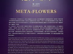 -德基艺术博物馆