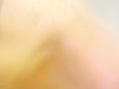 -五谷粥香(中华店)