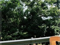 -亚龙湾热带天堂森林公园