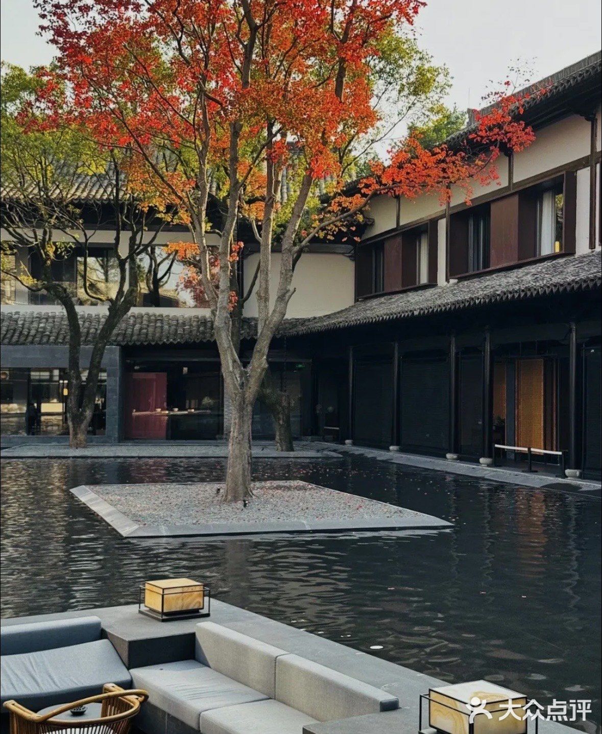 温州漂亮饭的卷王