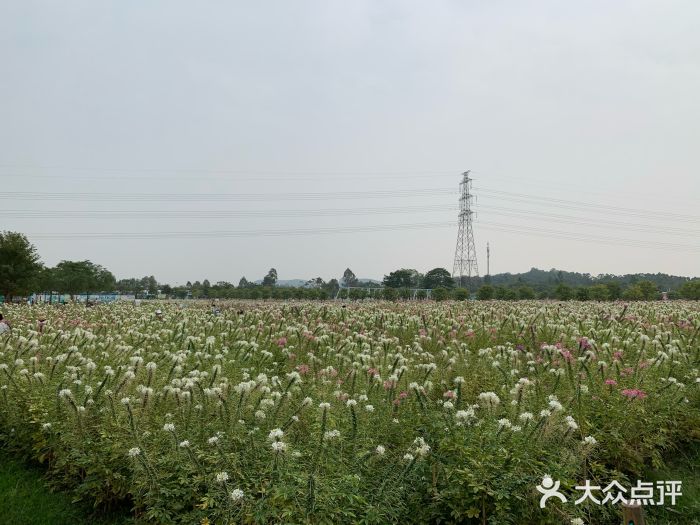 盈香心动乐园图片