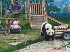 -鄂尔多斯野生动物园