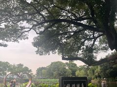 -无锡蠡湖国家湿地公园-蠡园