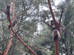 -六鳌翡翠湾滨海度假景区