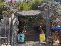 -王顺山国家森林公园