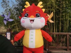 -黄海国家森林公园