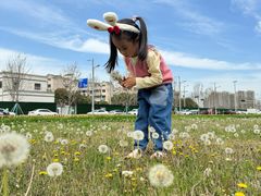 -白塘生态植物园