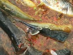 -庆岭迎宾园正宗活鱼馆