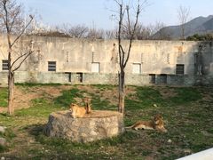 -西安秦岭野生动物园