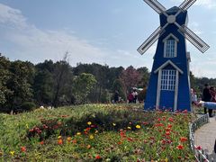 -铁山坪森林公园