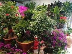 -三旗百汇商品城