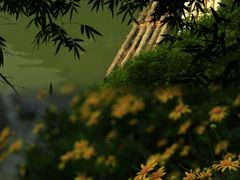 -黔灵山公园