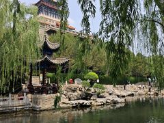 -教师之家赵家羊汤馆(东青龙街店)