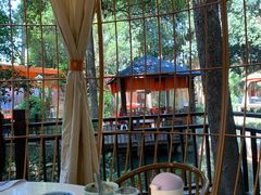 -二荆条·蜀鲜汇城市森林火锅