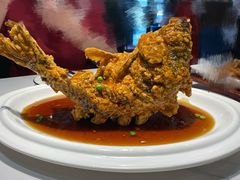 糖醋黄河鲤鱼-梅飞酒家(名辉豪庭店)