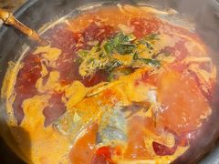 -毛辣果·酸(OHA复兴西路店)