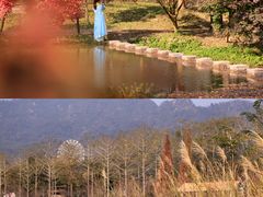 -田野绿世界
