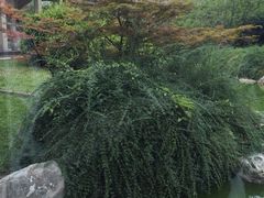 iphone_upload_pic-曲江惠宾苑宾馆(大雁塔大唐不夜城店)