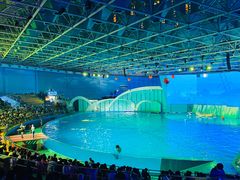 -海合安青岛极地海洋公园