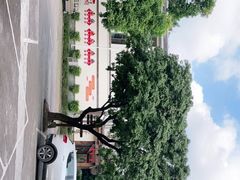 -南宁良凤江国家森林公园