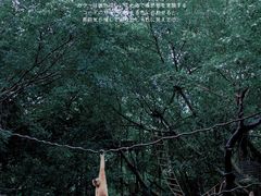 -广州长隆野生动物世界