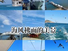 -海驴岛(荣成市)