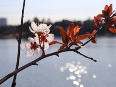 -美兰湖景区