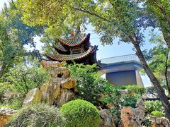 -碑林公园