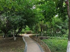 -保利·罗兰香谷