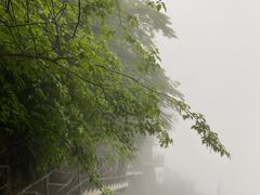 -瓦屋山景区