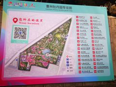-曹州牡丹园