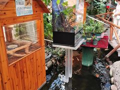 -上海大自然野生昆虫馆