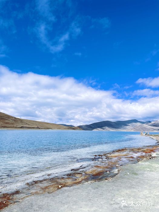羊卓雍措图片