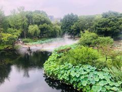 -南园(太仓市)