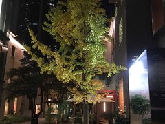-徐家汇源景区-衡山坊